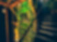 What We Offer.jpg